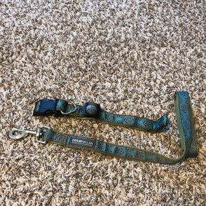 Leash + Collar for Cute Puppies 🐕